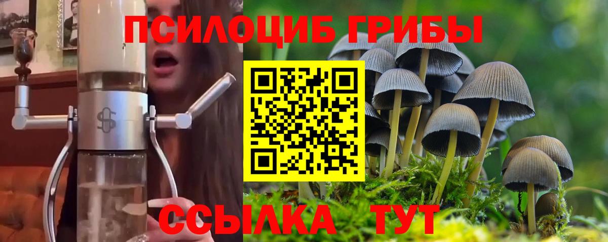Псилоцибиновые грибы мицелий Тольятти